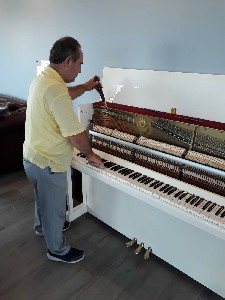 E22